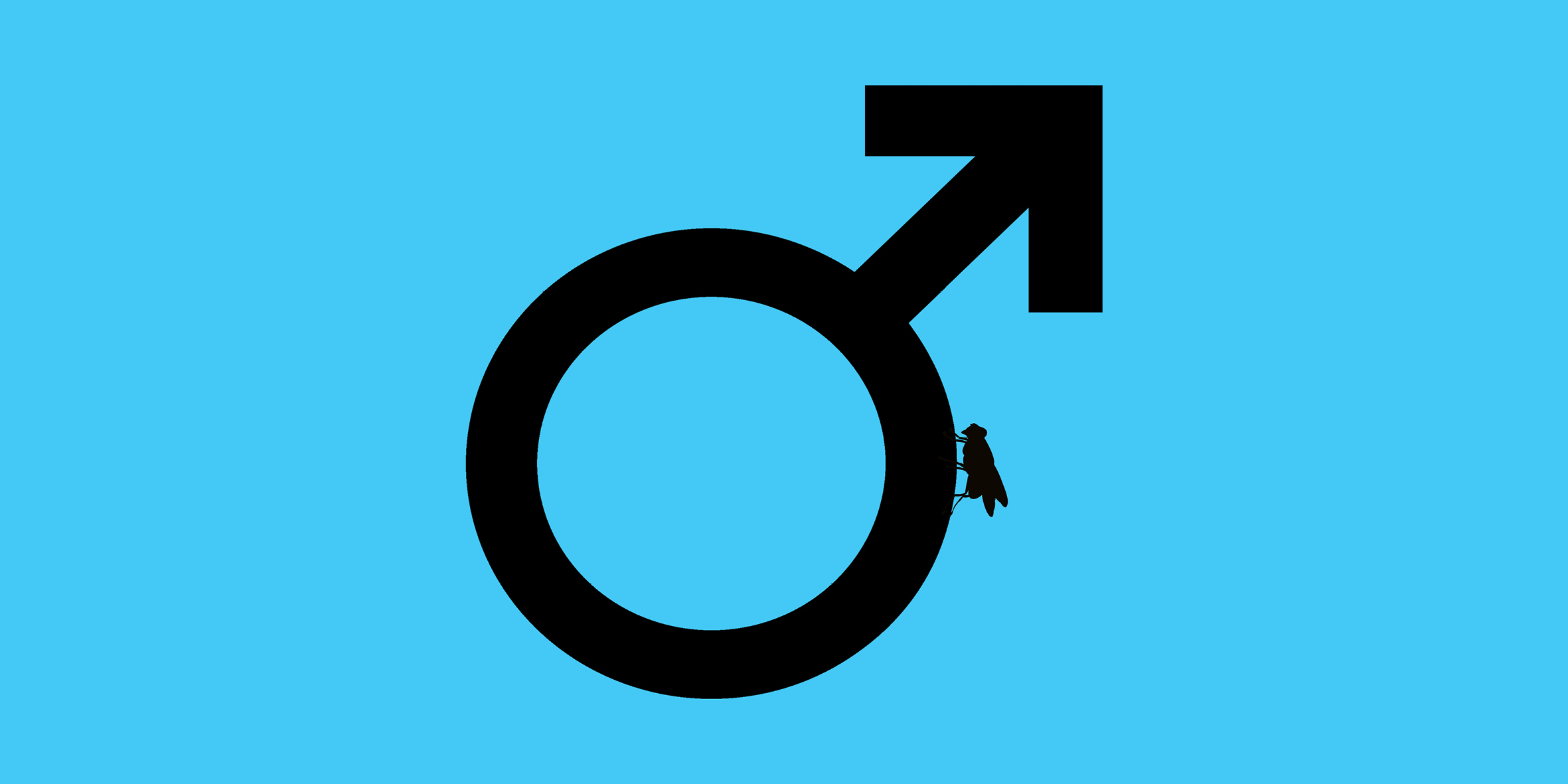 Man O manosphere